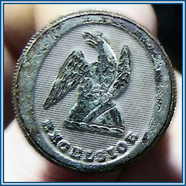 New York Militia button