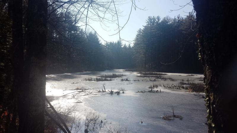 Name:  Frozen Pond.jpg
Views: 80
Size:  51.4 KB