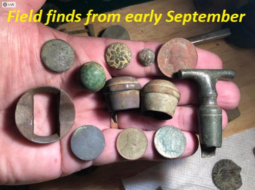 Name:  Field finds early Sep.jpg
Views: 2447
Size:  32.0 KB