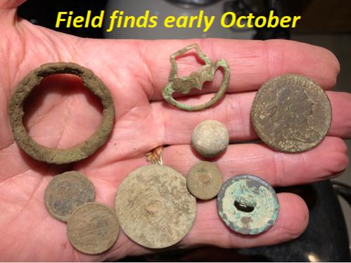 Name:  Field finds early Oct.jpg
Views: 2250
Size:  31.2 KB