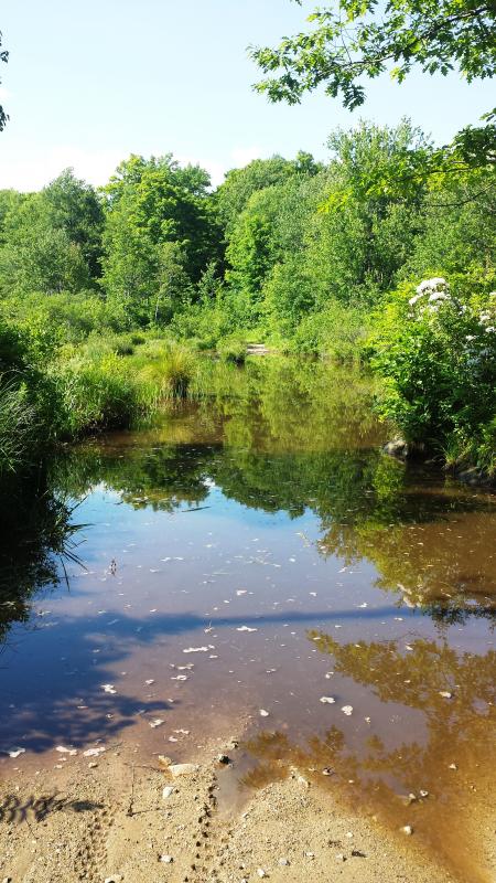 Name:  Flooded road.jpg
Views: 127
Size:  93.8 KB