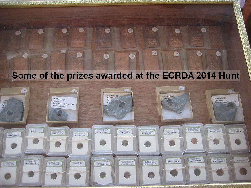 Name:  ecrda_2014_prizes_3.jpg
Views: 114
Size:  93.7 KB