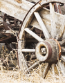 wagon wheel's Avatar