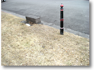 Park Strip