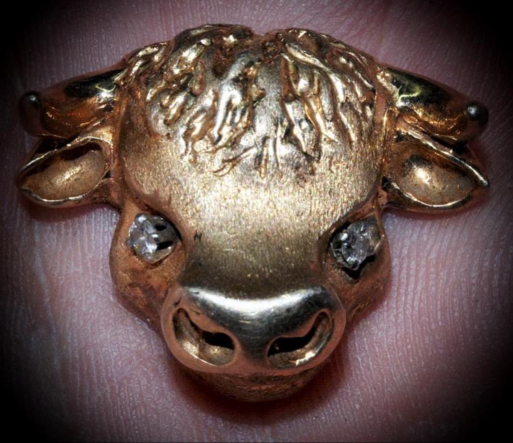 Name:  Cow Head.jpg
Views: 378
Size:  83.7 KB