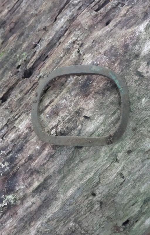 Name:  Shoe Buckle Log.jpg
Views: 379
Size:  78.3 KB