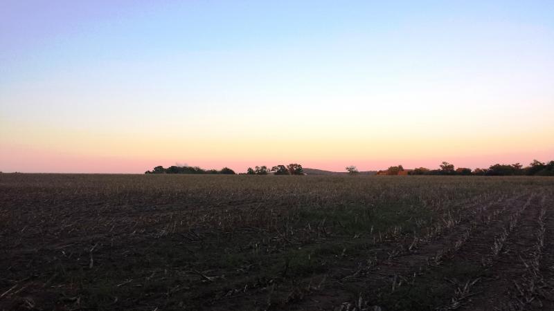 Name:  Late Field.jpg
Views: 507
Size:  31.6 KB