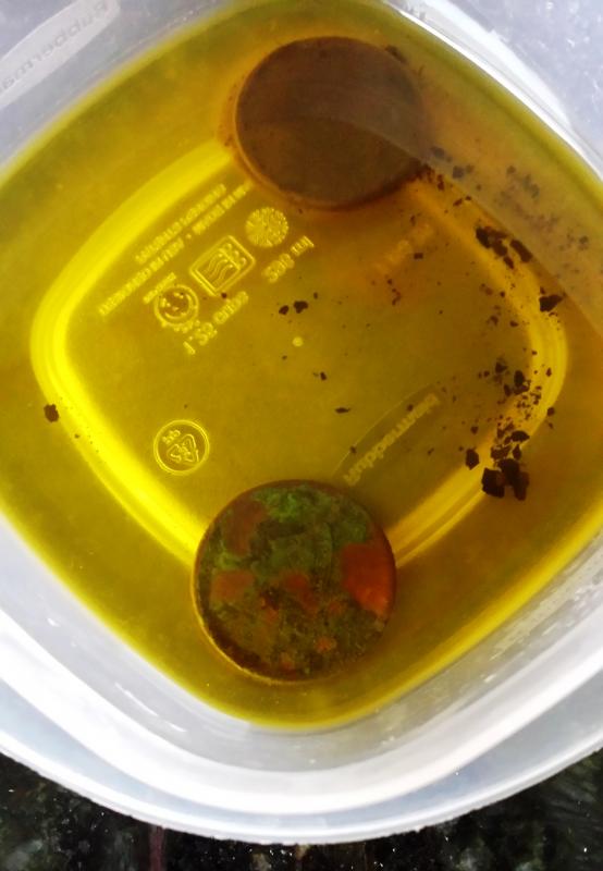 Name:  Largies Soaking in oil.jpg
Views: 450
Size:  43.4 KB