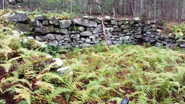 Name:  Barn and ferns.jpg
Views: 539
Size:  61.3 KB