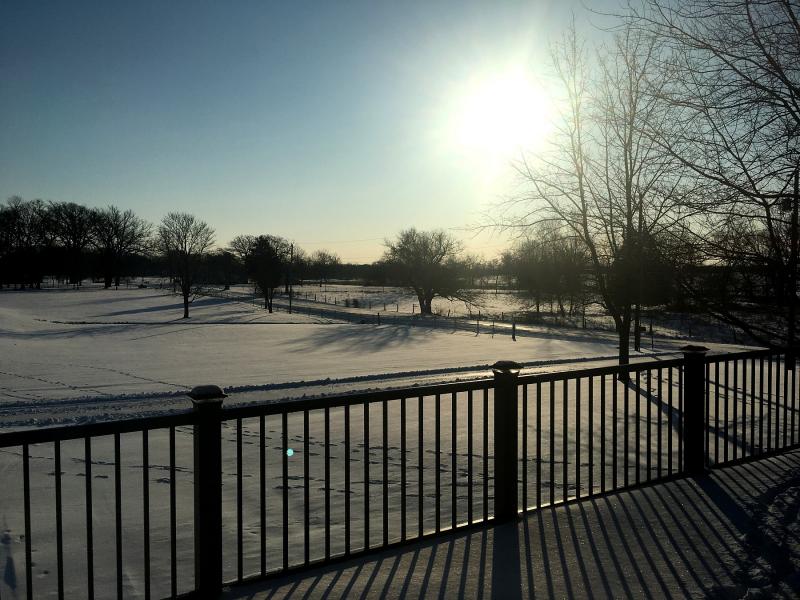 Name:  Frozen.jpg
Views: 342
Size:  84.0 KB