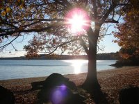 SunGlare2Small.jpg