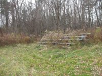 IMG_2837.JPG