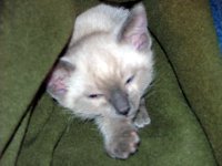 DSCF3267.JPG