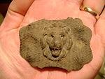 Lion2.jpg