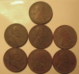Wheats 11-25.JPG