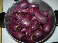 tunas.JPG