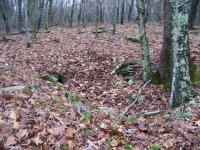 KS. Rd. site 1.JPG