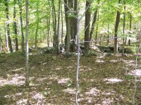 pom. site 1 georges gw site.JPG