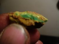 P1010718A.jpg