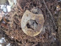 dec 7th cellar hole hunt 006 [].jpg