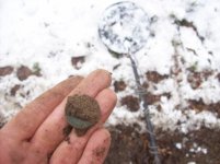 dec 7th cellar hole hunt 011 [].jpg