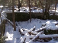 DEC 12TH CELLAR HOLE SNIFFY 007 [].jpg