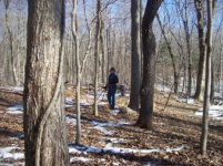 dec 18th cellar hole hunt with mike 002 [].jpg