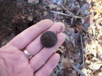 dec 18th cellar hole hunt with mike 003 [].jpg