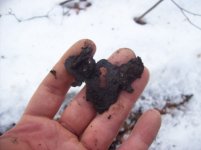 dec 27 cellar hole hunt buttons 001 [].jpg