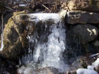 DEC 30TH CELLAR HOLE SNIFFY 007 [].jpg