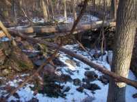 DEC 30TH CELLAR HOLE SNIFFY 003 [].jpg