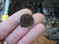 DEC 30TH CELLAR HOLE SNIFFY 001 [].jpg