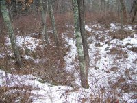 off cr.lk.rd. right side.JPG