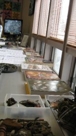 Table Display.jpg