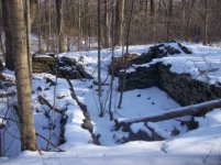 jan 14th hunt with sniffy 008 [].jpg