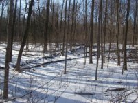 jan 14th hunt with sniffy 001 [].jpg