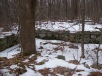 JAN 17TH  hunt with sniffy 001 [].jpg