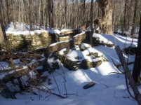 jan 23 cellar holes with sniffy 017 [].jpg