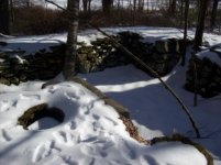 jan 23 cellar holes with sniffy 016 [].jpg