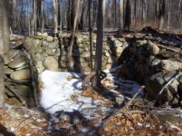 jan 23 cellar holes with sniffy 009 [].jpg
