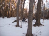jan 23 cellar holes with sniffy 002 [].jpg