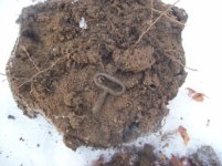 jan 23 cellar holes with sniffy 003 [].jpg