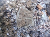 jan 23 cellar holes with sniffy 005 [].jpg