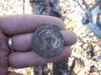 jan 23 cellar holes with sniffy 014 [].jpg