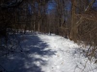 JAN 29 cellar hole with MIKEY 006 [].jpg
