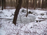 N.Y. M. button site.JPG