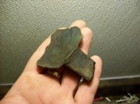 jan 31cellar hole spankin with sniffy 004 [].jpg