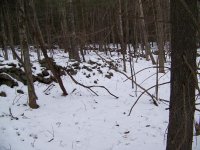 powder horn site fields.JPG