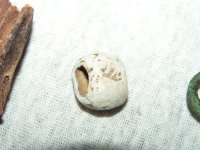 Detector Finds 009.JPG