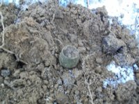 FEB 13TH CELLAR HOLES WITH SNIFFY 001 [].jpg